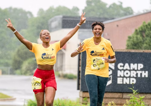 Wings for Life World Run
